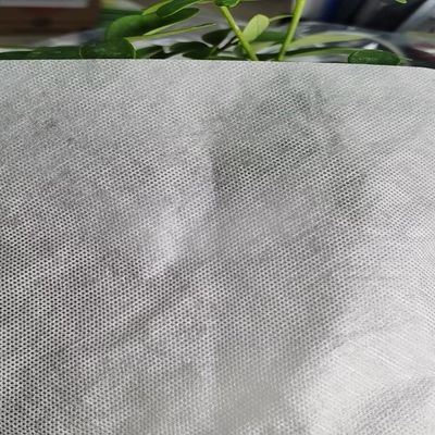 에브로이더링 뒷면 간판 에브로이더링 PVA 필름 GAOXIN 다른 두께